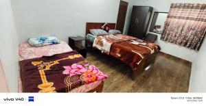 Alexa home saty