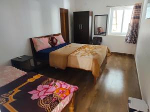 Alexa home saty