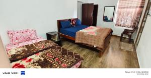 Alexa home saty