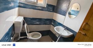 Alexa home saty