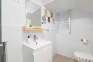 Estudio en Jerez Centro