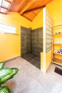ABWonderdive - Scuba and Snorkeling Resort Junior Villa