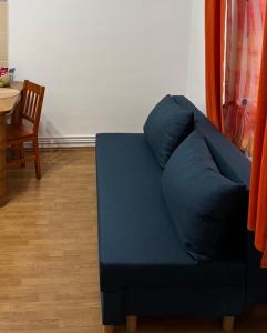 Central Camelia Loft in Cluj
