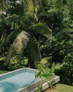 Konkrit, Tropical Brutalist Villa in Ahangama