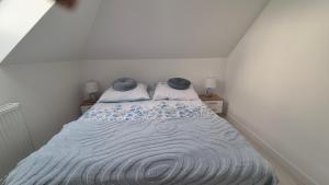 Apartamenty Bujowy
