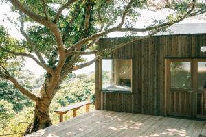 Ocean view cabin