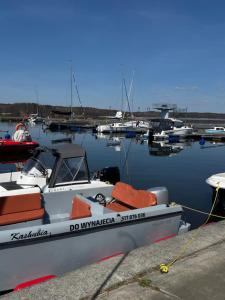 Apartament z Widokiem na Jezioro