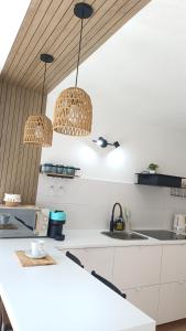 Seabird Lisbon Studio