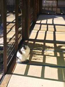 450 Year Old Mt Fuji Pilgrim Lodge hitsuki