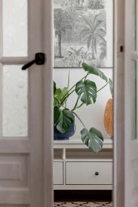 Klimatyczny Apartament z Balkonem Blisko Parku Zdrojowego by Noclegi Renters
