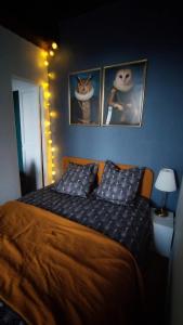 charmant appartement hyper-centre