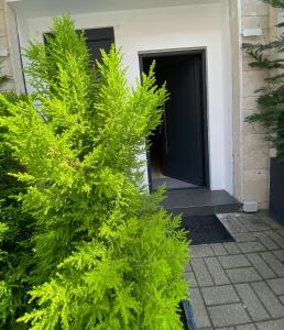 Riara Home