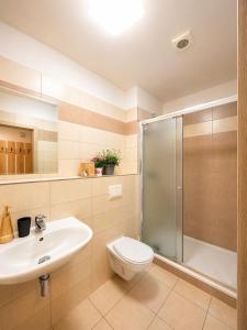 Luxury Villa with Glass Veranda & Garden Karlovy Vary