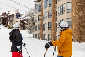 CX334- Chateau Chamonix