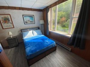 Charming Suite B overlooking downtown - Apartment