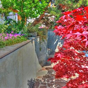 Bellavista Home