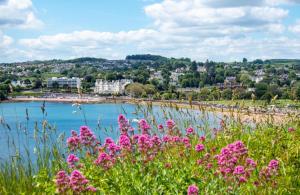 5 Bed in Torquay oc-bcvane