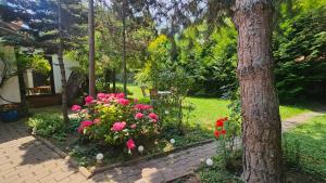 Park Apartment