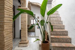 Casa Las Cuadras - Califa Casas Vejer