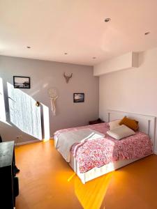 Cozy 1 bedroom apartment