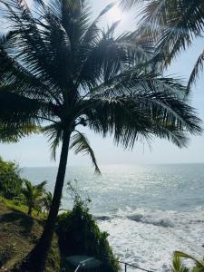 Hotel El paraiso