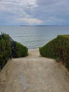 Роял Палм 15