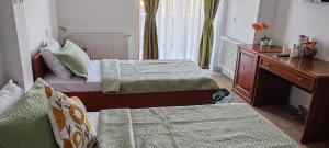 Pensiunea Terra Serenity