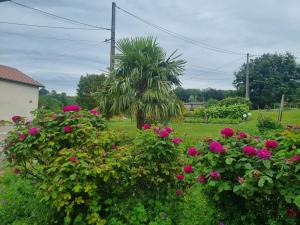 bienvenue chez nous