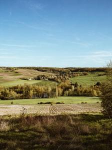 La Cabane de Gus - Tiny House Insolite au cœur des Vignes de Champagne - Vue Panoramique - 1h30 de Paris
