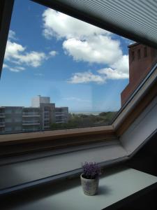 Monoambiente