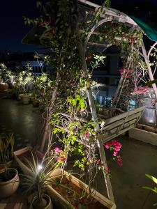 Misty BNB And Homestay