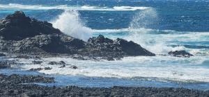 Fuerteventura Beach Vacations at Seneca no hotel,incluye cocina comun con agua, cafe, cereales y pasta gratis