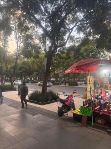 Minimalist Loft Historic Center Downtown CDMX