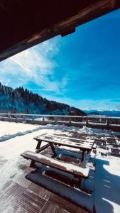 Appartement Les Edelweiss 201