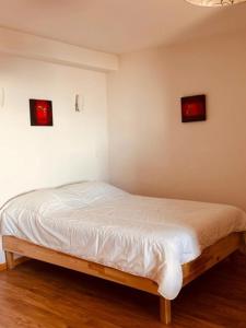 studio Nivéole 303
