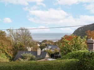2 Argoed