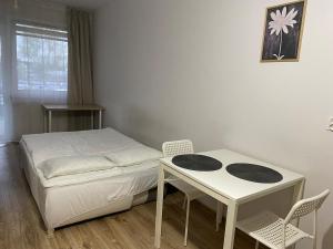 Cozy studio apartment with a large terrace