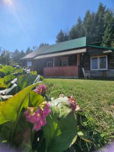 Dom Gościnny Nasza Góra