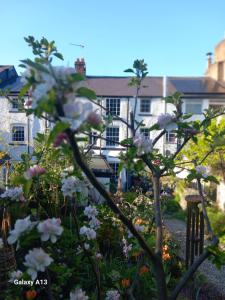 Hiraeth Homestay xxx