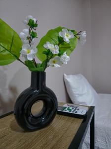 The Paml Suites