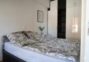 Petar Apartment-City Center, Ohrid