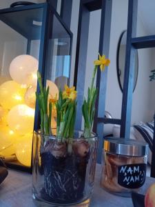 Grīvas apartamenti