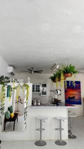 Mittoz House with beach access in Holbox downtown