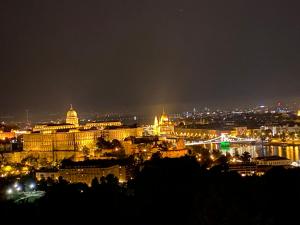 Apartment on Gellért Hill Budapest Downtown with free garage & Castle View