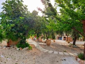 Trilocale tra alberi da frutto