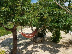 Trilocale tra alberi da frutto