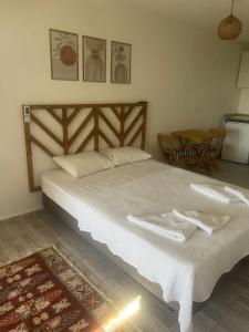 Çağdaş Village house