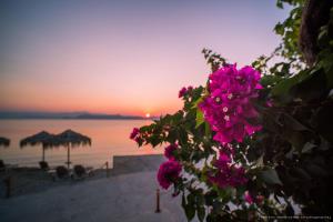 Pension Zephyros Arkadia Greece