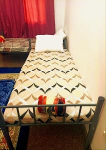 Terhal Guest House