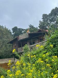 Casa Mandala Ecovegan, Habitación en Santa Elena Medellín